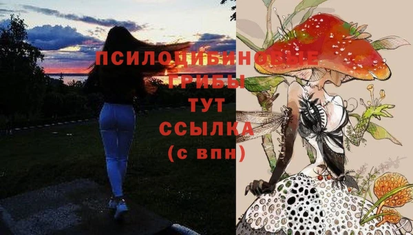спиды Беломорск