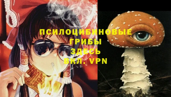 mdpv Белокуриха