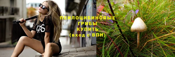 mdpv Белокуриха