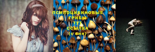 спиды Беломорск