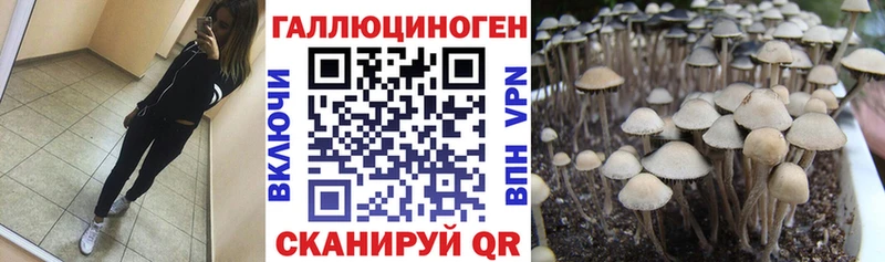 Галлюциногенные грибы Cubensis Великие Луки
